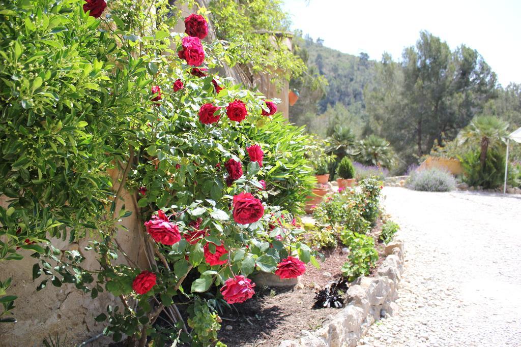 Masia Sumidors Sant Pere De Ribes Exterior photo